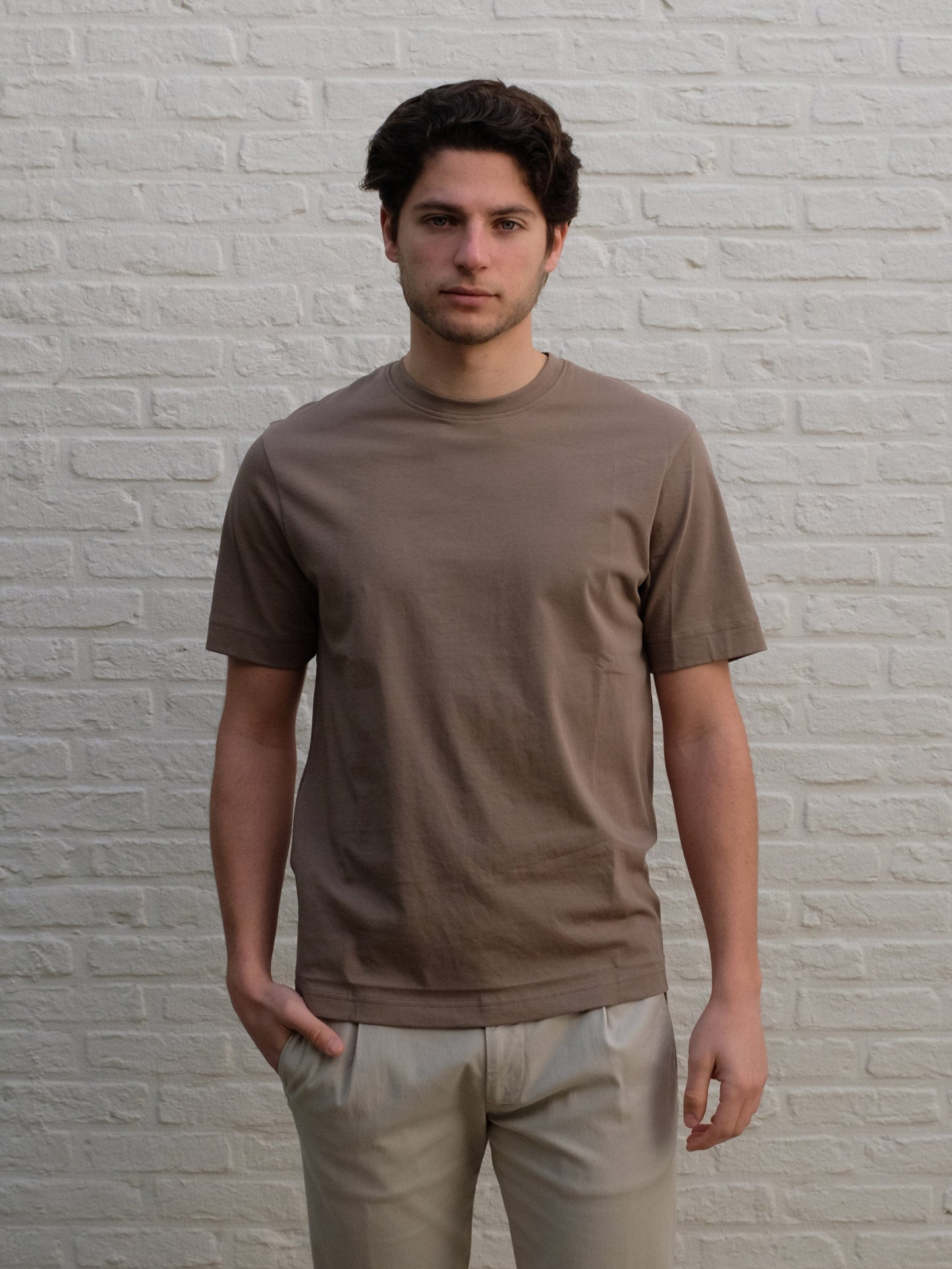 DRYKORN - T-Shirt Raphael Taupe T-shirts Drykorn 