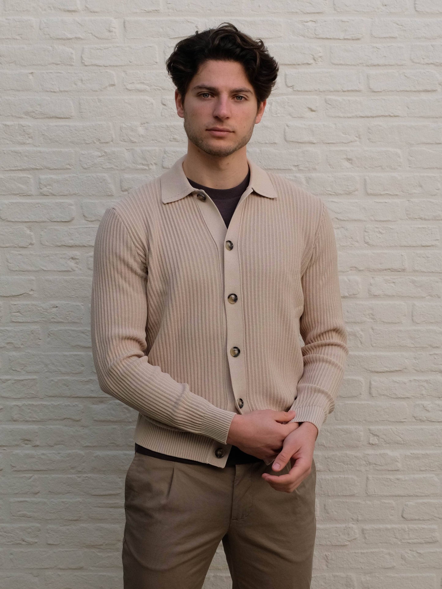 FERRANTE - Cardigan Met polo Kraag Beige Truien Ferrante 