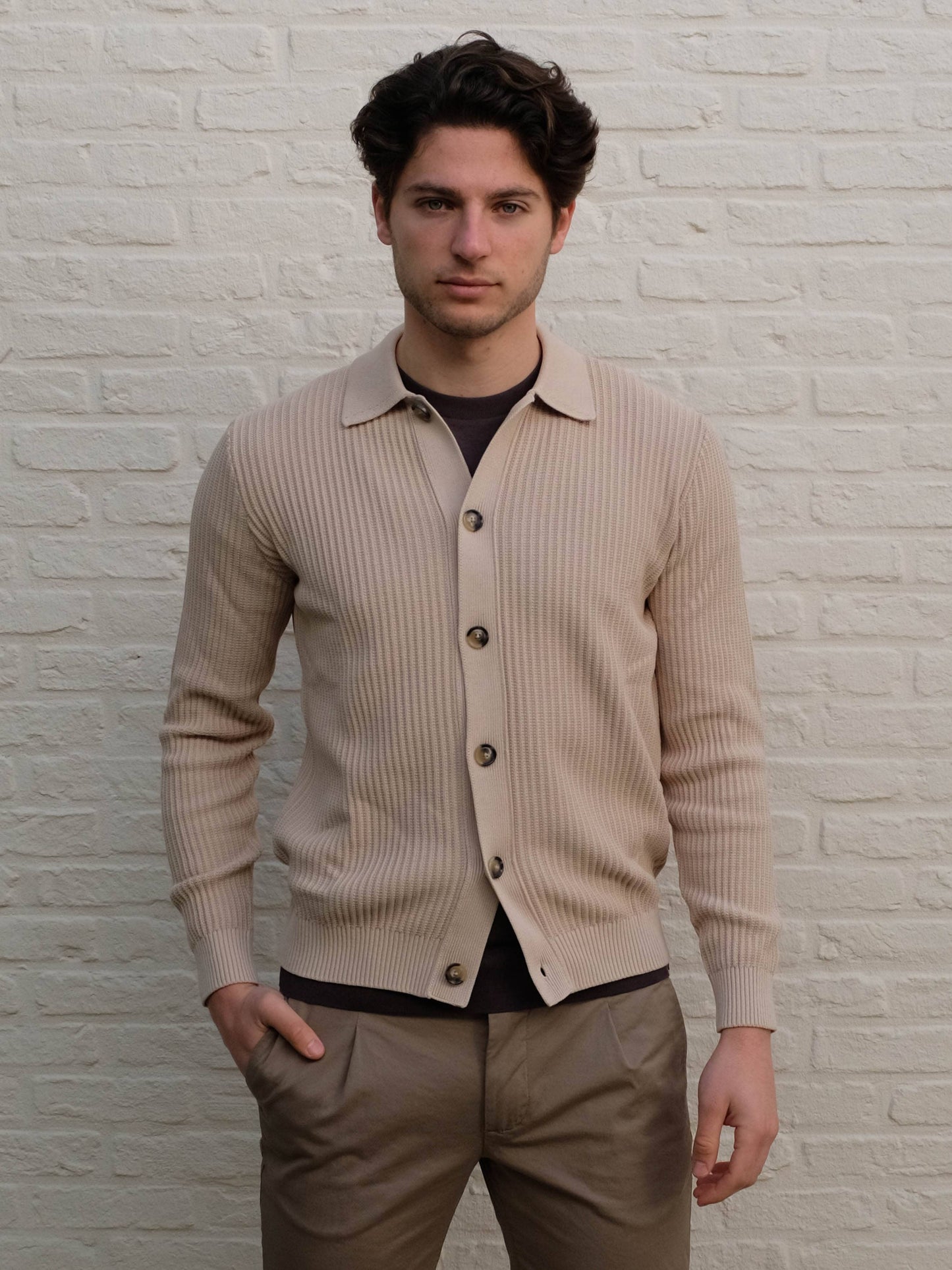 FERRANTE - Cardigan Met polo Kraag Beige Truien Ferrante 
