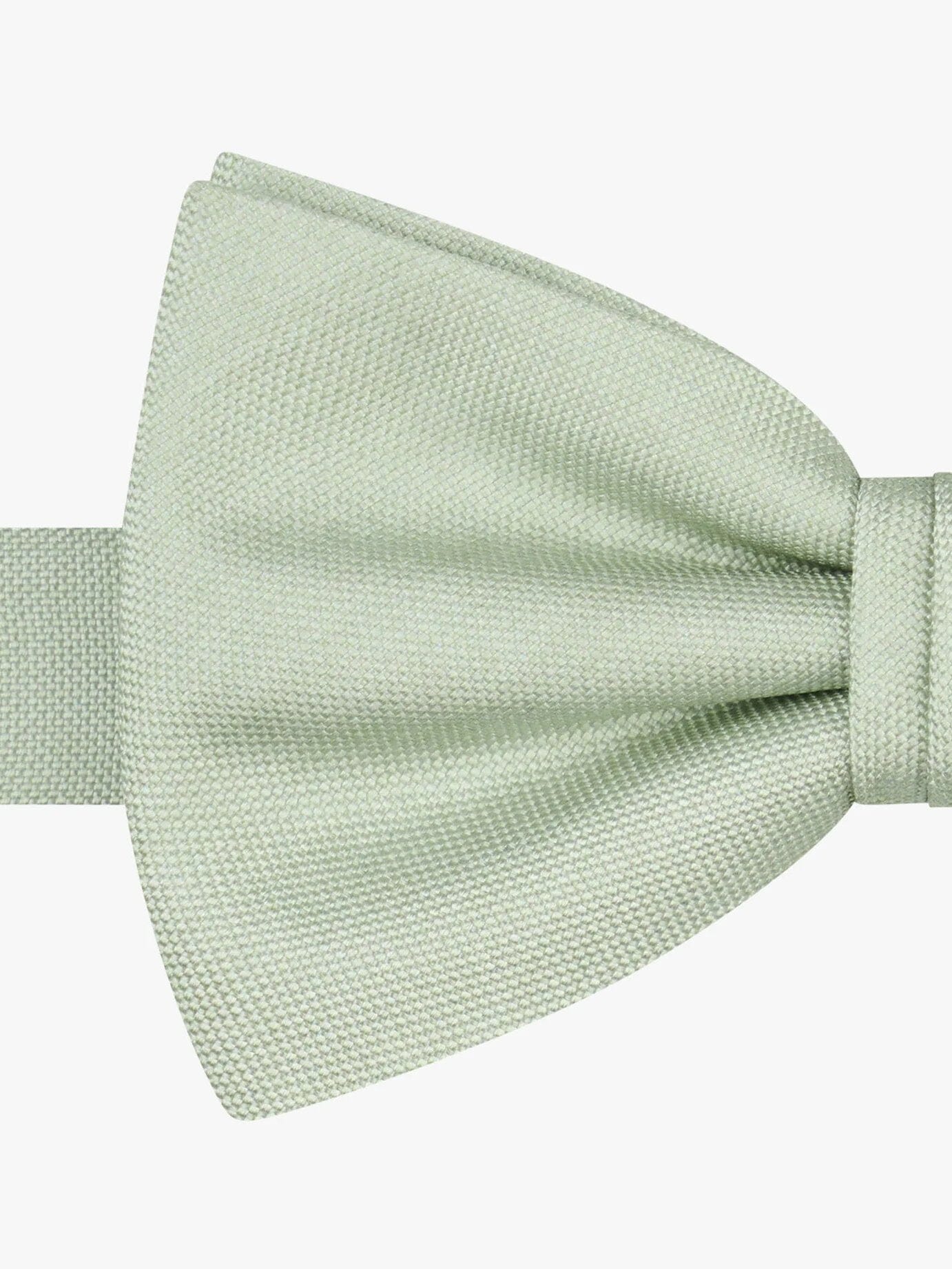 PROFUOMO - Strik Zijde Lichtgroen Dassen en strikken Profuomo 