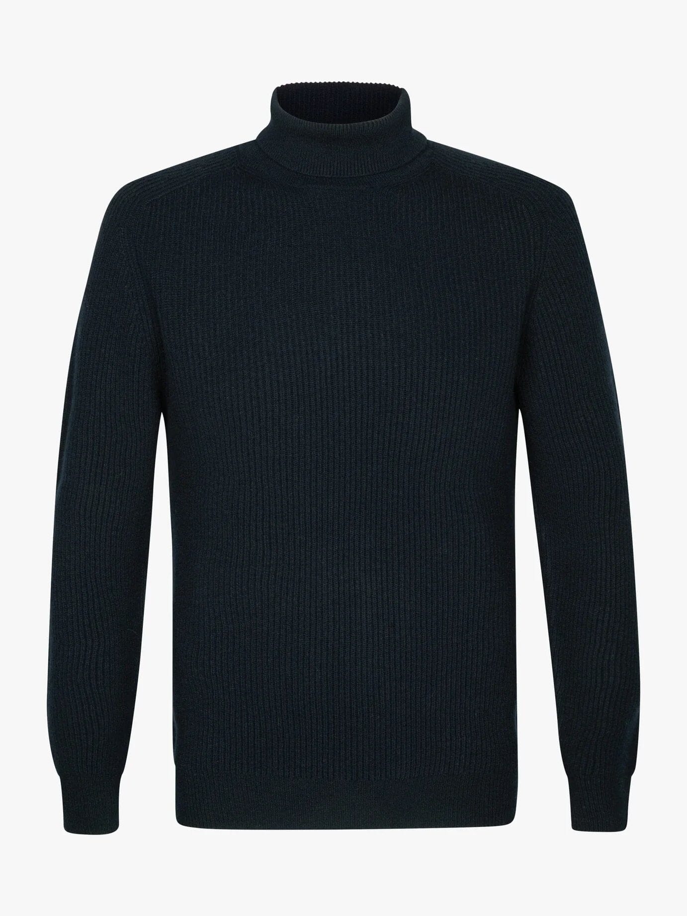 
                  
                    PROFUOMO - Trui Met Rolkraag Navy Truien Profuomo 
                  
                